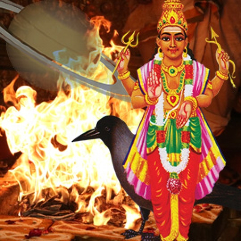 Daily HC Yagya for Shani Sarhesati